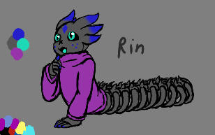 Rin new design